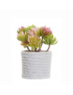 Planta cactus artificial Maru