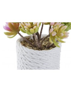 Planta cactus artificial Maru 2